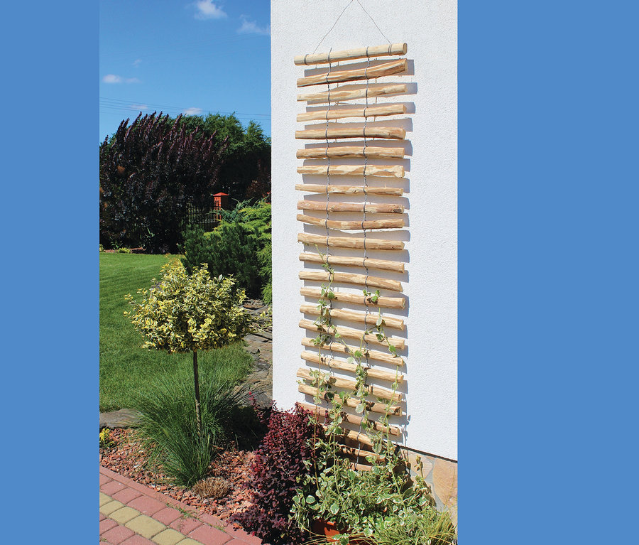 Ein Dobar Rankgitter-Spalier aus Holz hängt an einer weißen Wand neben Grünpflanzen.