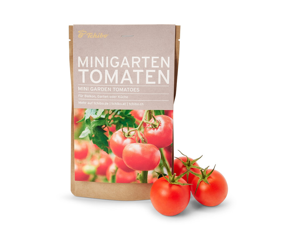 Minigarten in der Papiertüte, Tomate.