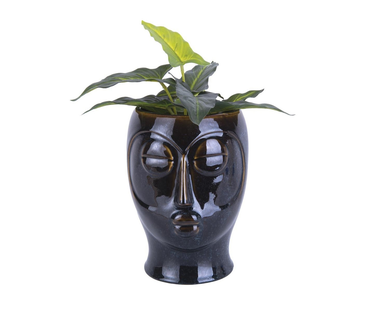 Grüne Pflanze im Blumenübertopf.