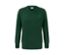 Dunkelgrüner Pullover mit V-Ausschnitt.