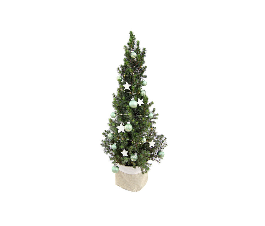 Ein ca. 50 cm großes, echtes Weihnachtsbäumchen mit Dekoration in Grün.