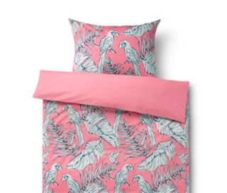 Tropical Rose