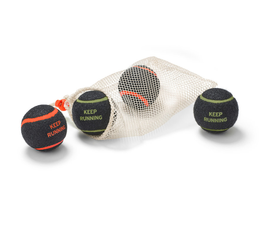 Vier Hunde-Spielzeugbälle liegen teilweise außerhalb eines weißen Netzbeutels.