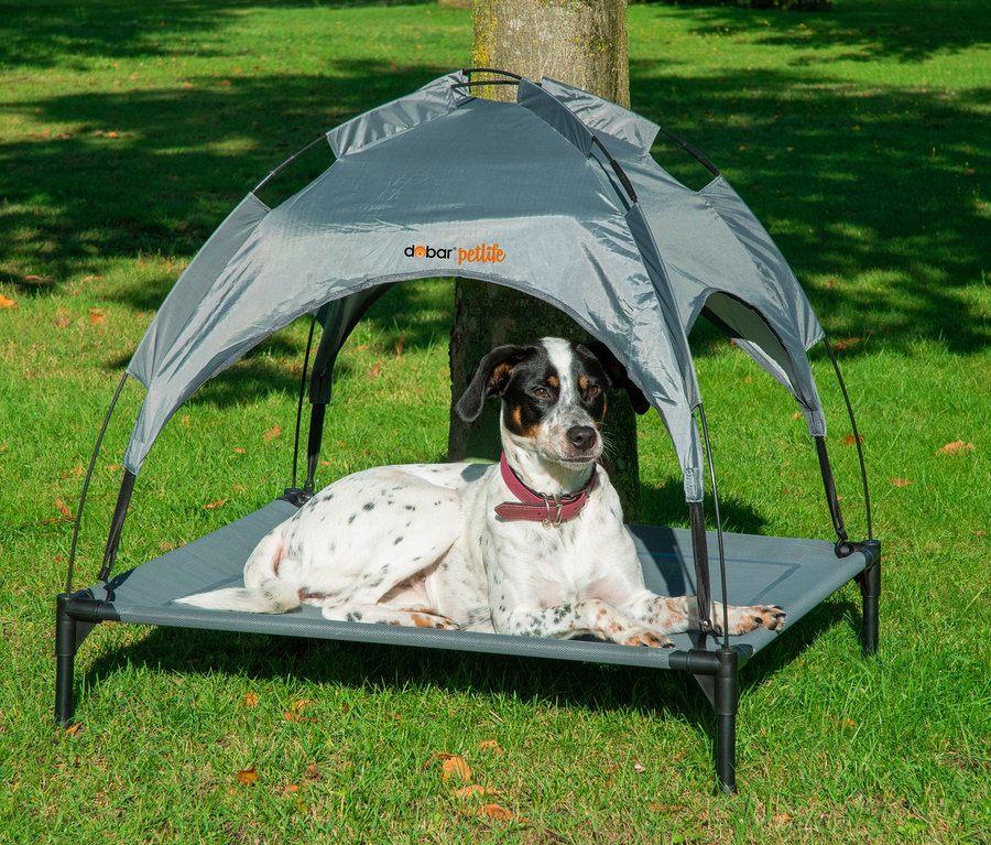 Gesprenkelter Hund liegt in grauer Outdoor-Hundelounge auf Gras.