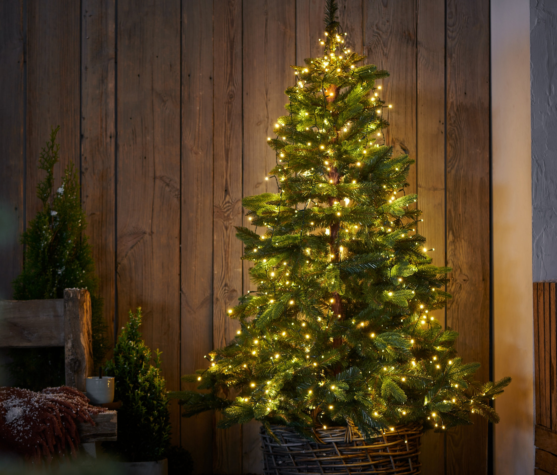Ein mit einem LED-Baummantel geschmückter Weihnachtsbaum steht in einem Weidenkorb vor einer Holzwand.