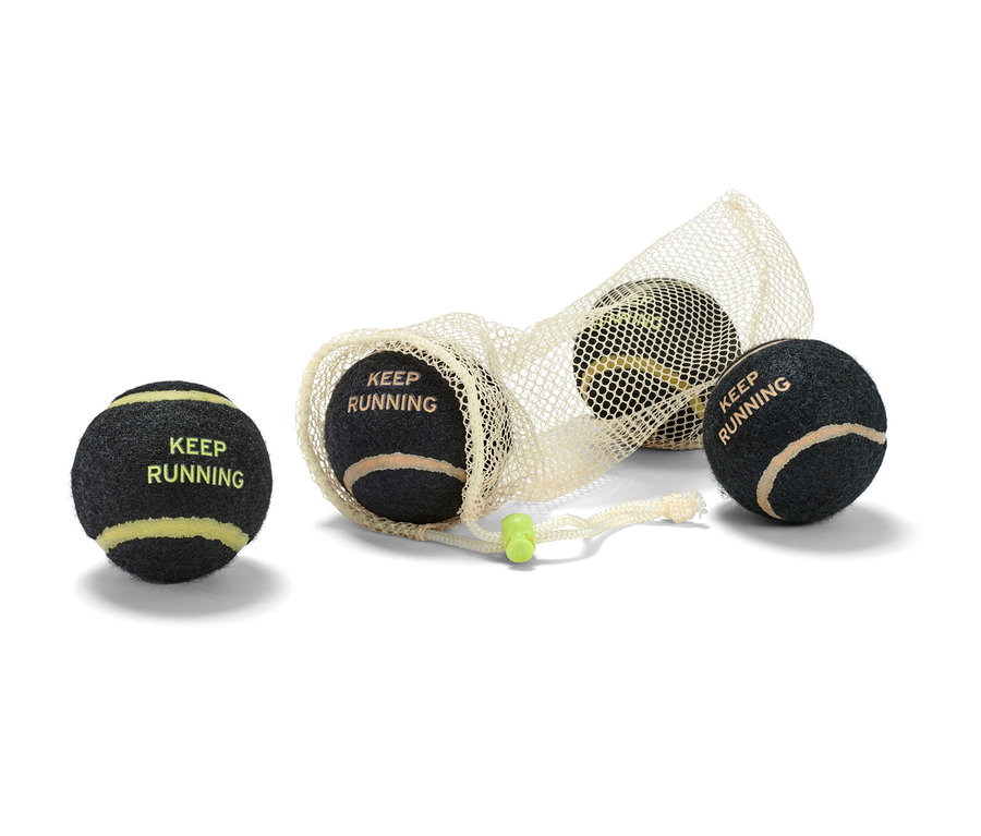 Vier Hunde-Spielzeugbälle, drei davon in einem Netz.