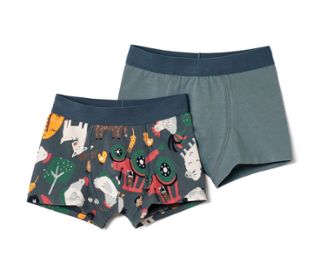 2 Jungen-Slipboxer