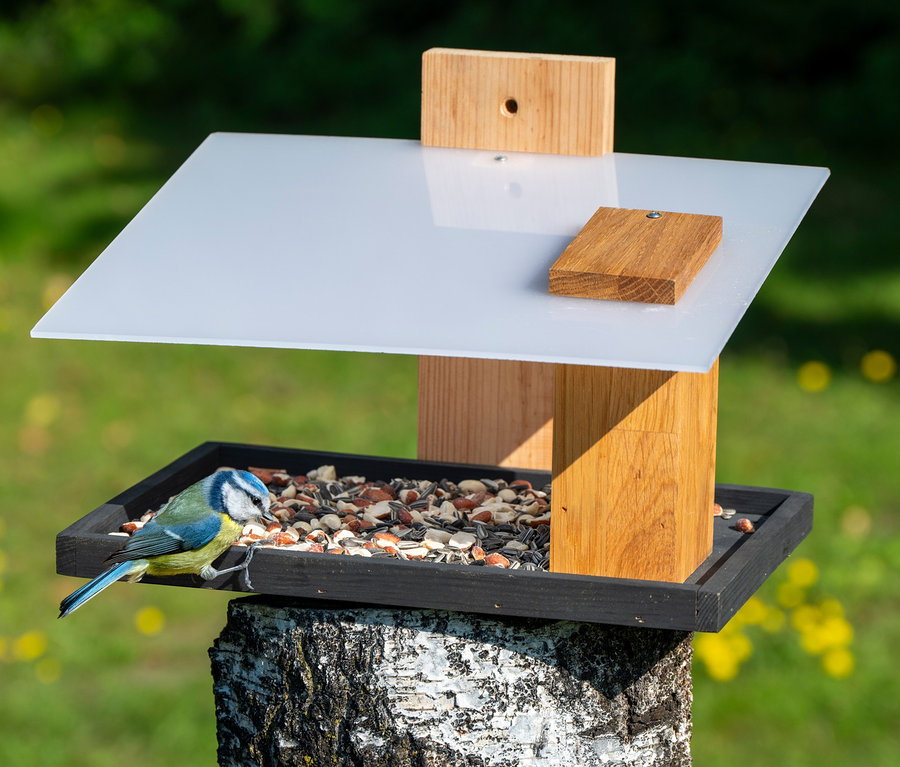 Eine Blaumeise sitzt auf einem mit Samen gefüllten Design-Vogelhaus »Futura I«.