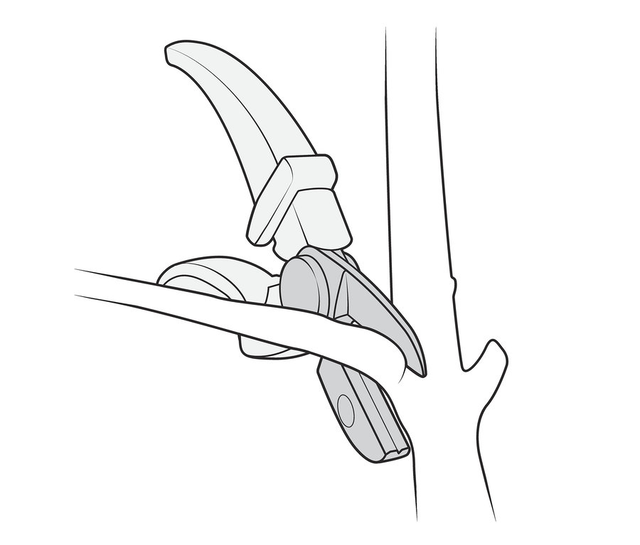 Illustration einer Ast-und-Blumen-Schere, die einen Ast schneidet.