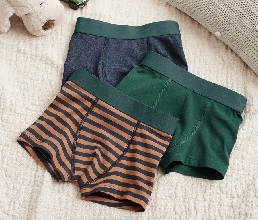 Drei Slipboxer, ein Plüschhund und ein Spielzeugauto liegen auf dem Bett.