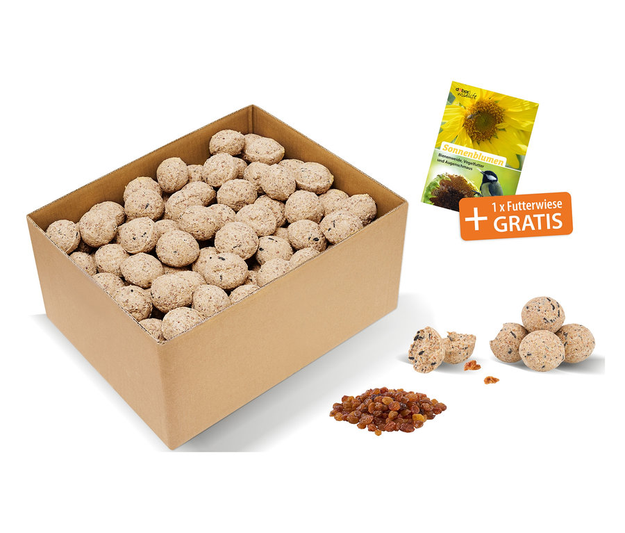 Karton mit 100 Stück Frucht-Meisenknödel, daneben ein Haufen Rosinen und eine Packung Sonnenblumensamen.