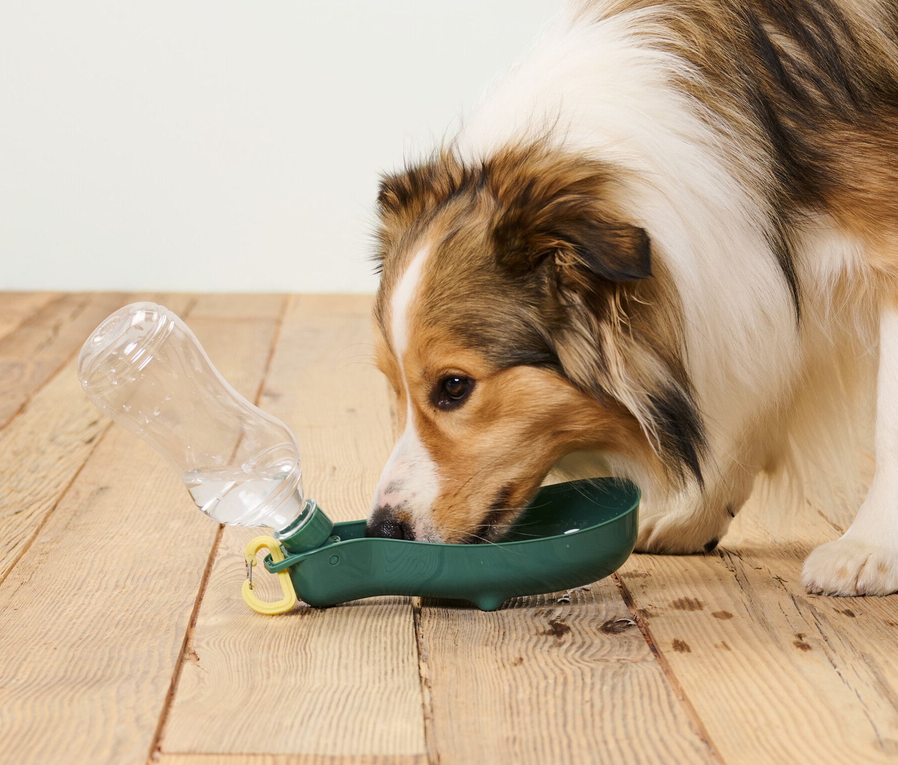 Hund trinkt aus Hunde-Trinkflasche mit integrierter Trinkschale.