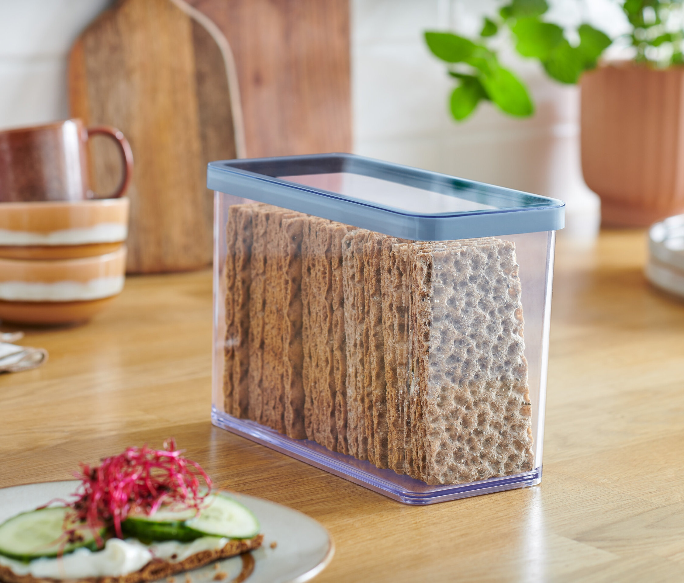 Knäckebrot in einem durchsichtigen Vorratsbehälter.