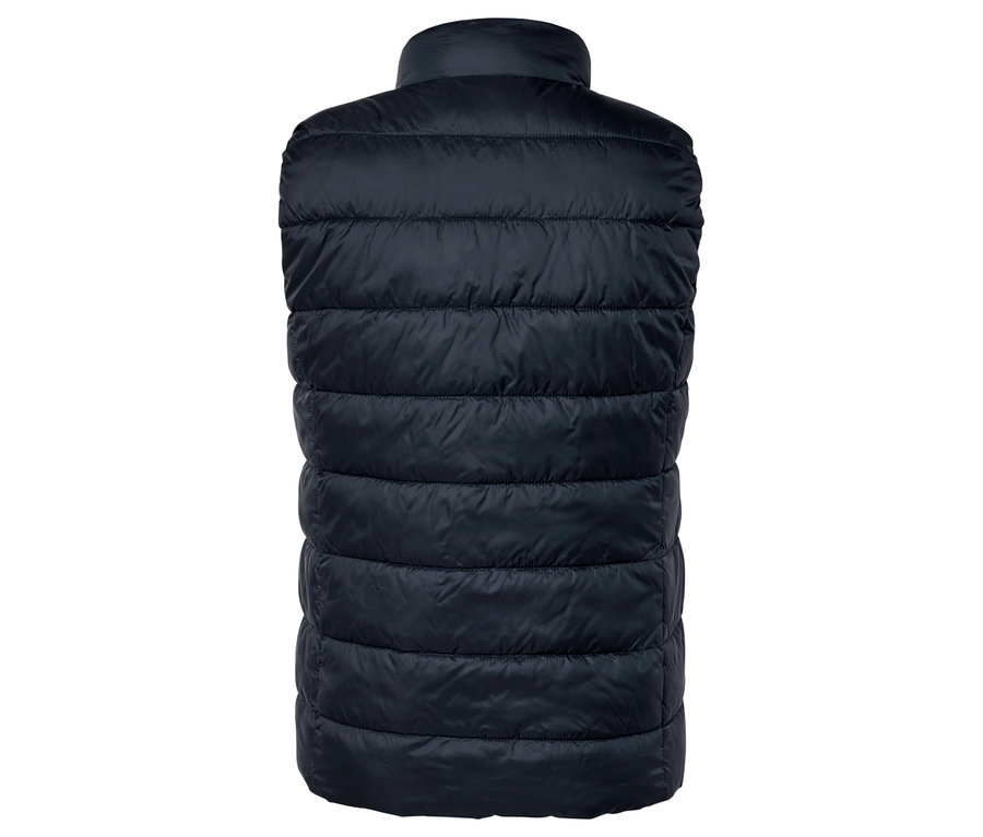 Rückansicht einer dunkelblauen Steppweste.