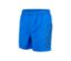 Blaue arena Badeshorts Fundamentals Logo.