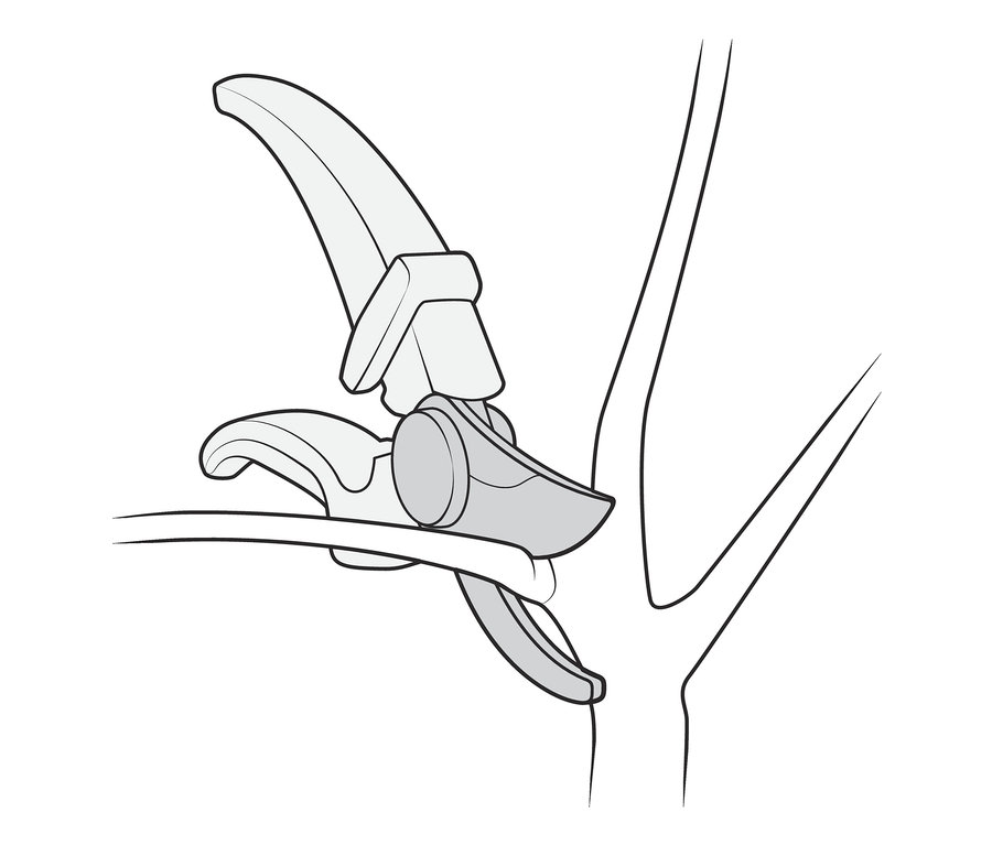 Illustration einer Ast-und-Blumen-Schere, die einen Ast schneidet.