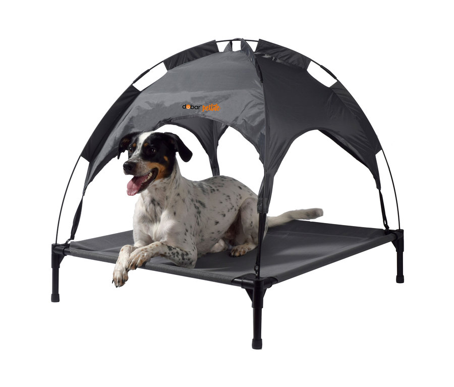 Gesprenkelter Hund liegt in grauer Outdoor-Hundelounge.