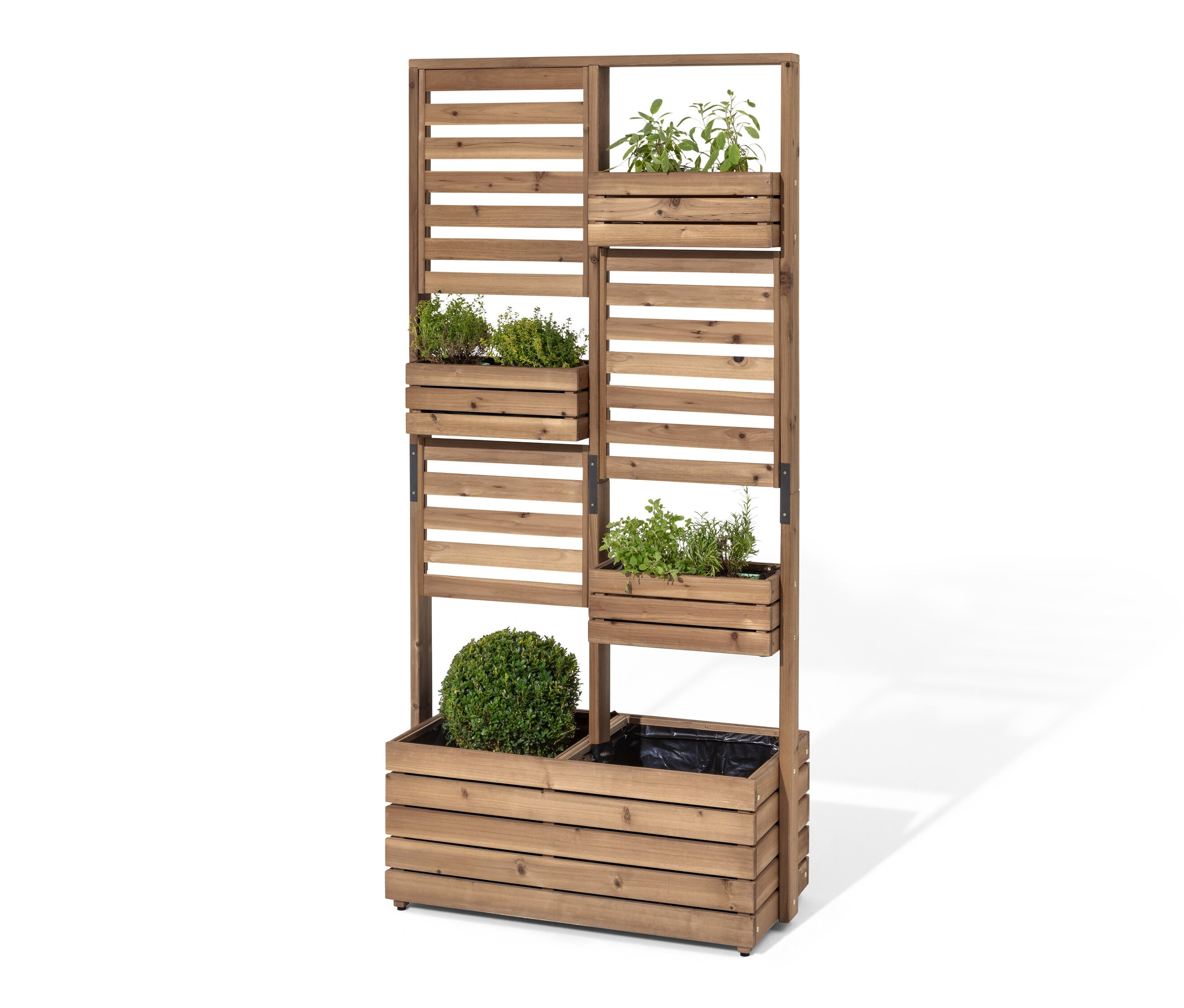 Beidseitig bepflanzbarer Sichtschutz »Tinus« mit Pflanzen in Töpfen.