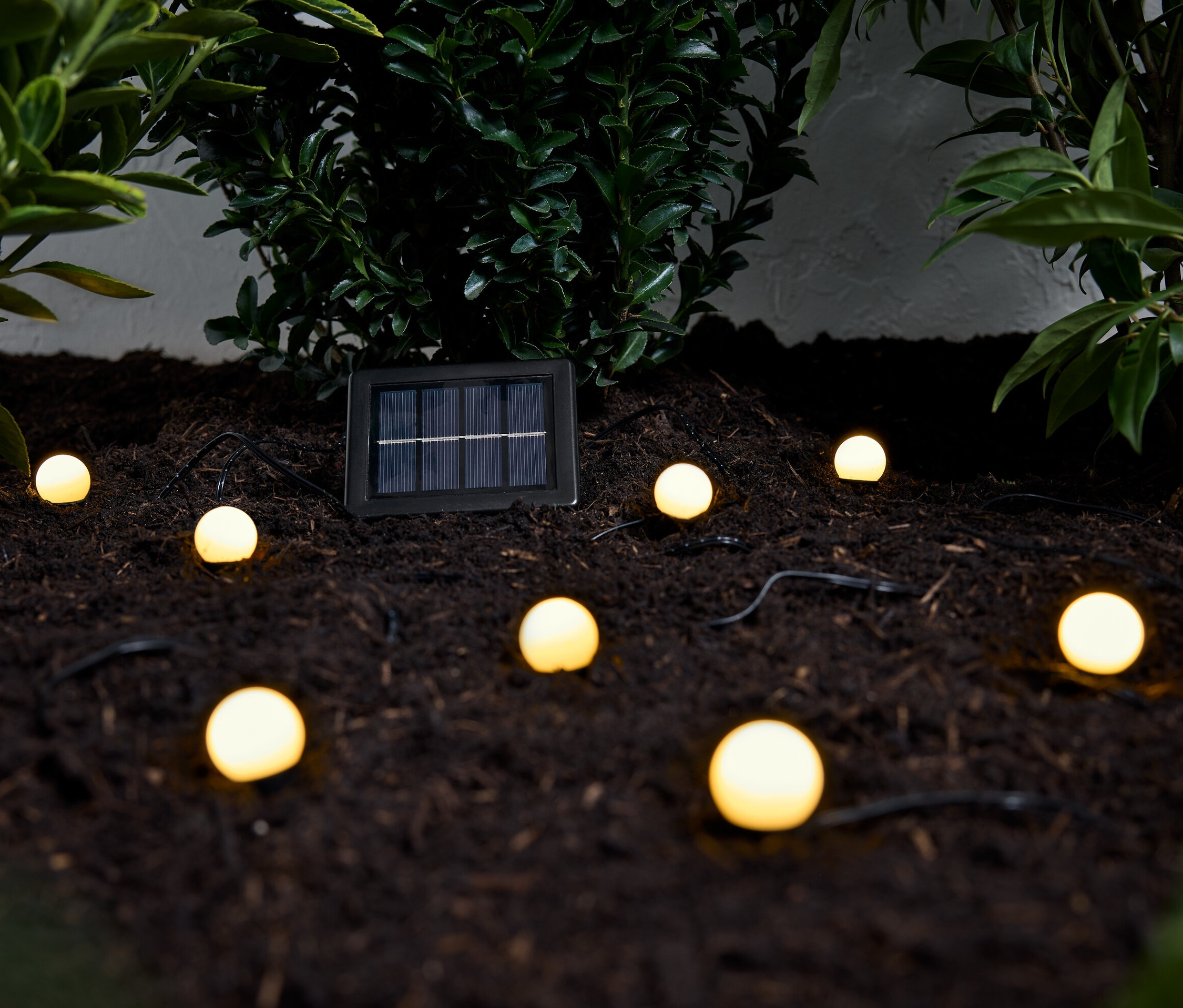 Eine Solar-Bodenlichterkette mit mehreren runden Lichtern liegt auf brauner Erde zwischen grünen Pflanzen.
