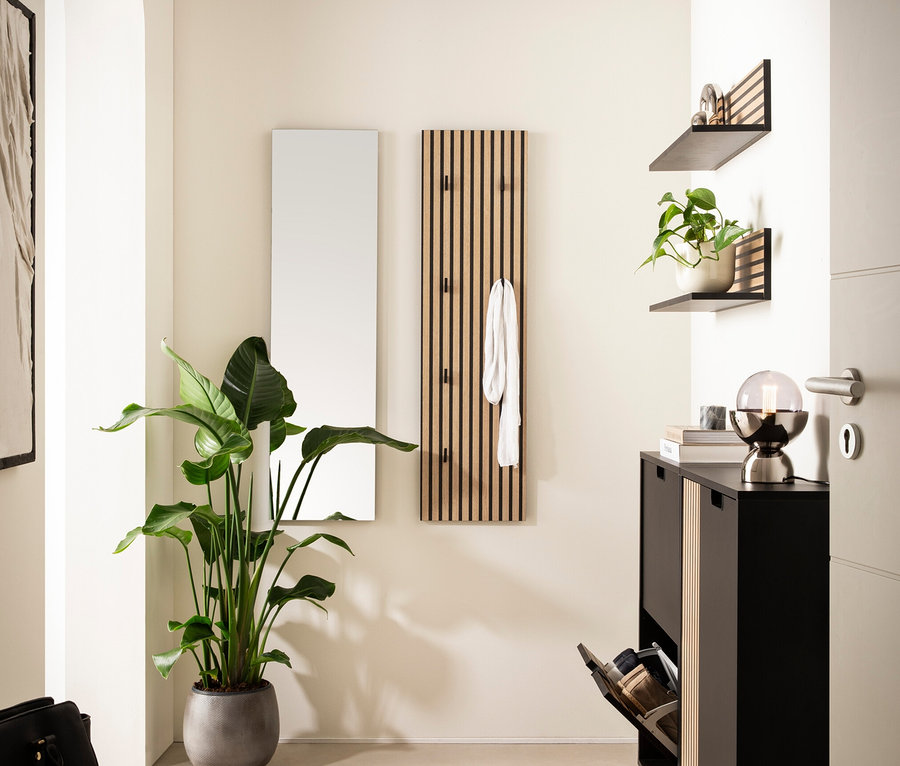 Eingangsbereich mit Topfpflanze, Spiegel und Schuhschrank.