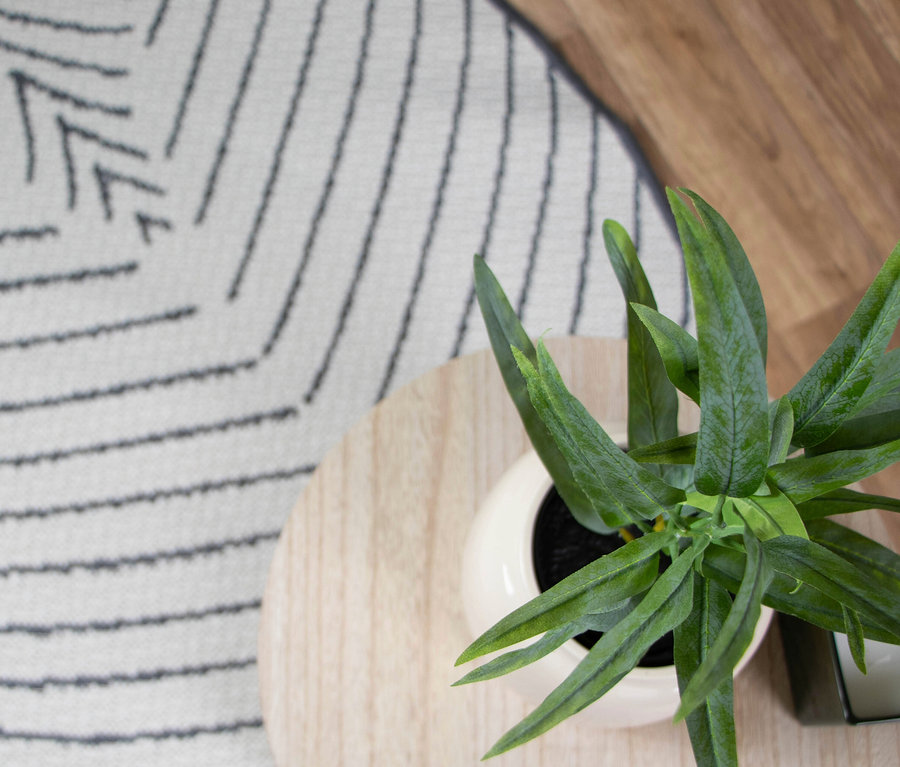 Draufsicht einer Zimmerpflanze in einem weißen Topf auf einem hellen Holztisch, daneben ein Teppich mit dunklen Streifen.