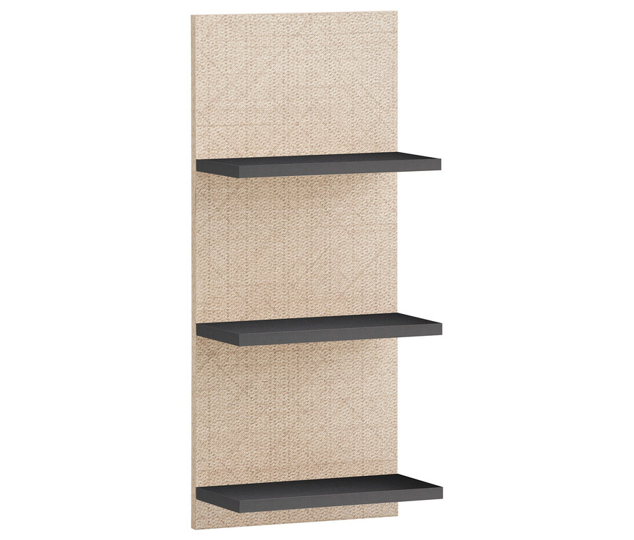 Anthrazitfarbenes Regal »Sander« mit Canasta-farbenem Hintergrund und anthrazitfarbenen Regalböden.