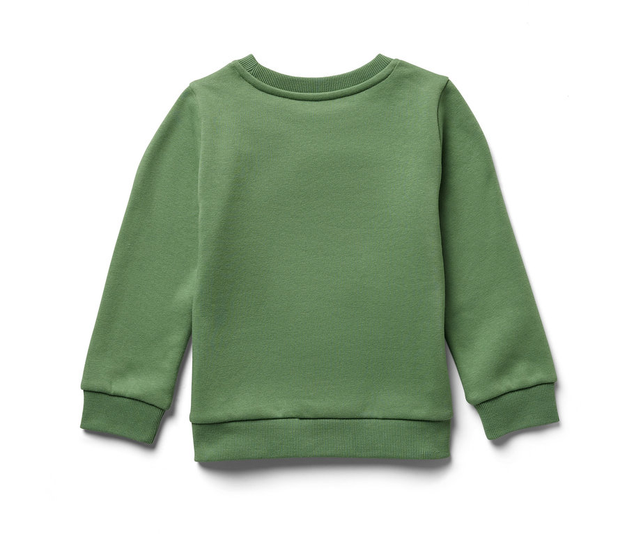 Ein grünes Kinder-Sweatshirt mit angerauter Innenseite liegt auf einem weißen Hintergrund.