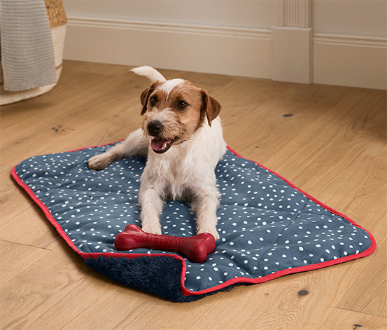 HundeKuscheldecke online bestellen bei Tchibo 620254
