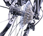 HAWK Bikes »e-Trekking Integrated Gent Steps«
