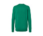 Pullover mit Rundhalsausschnitt, grün