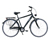 HAWK Bikes Cityrad »Citytrek Gent Premium«