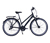 HAWK Bikes Damen-Trekkingrad »Trekking Lady Premium«