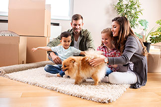 Tierbedarf in bester Qualität: Ein Mann, seine Frau sowie ein kleiner Jungen und ein kleines Mädchen sitzen im Wohnzimmer auf dem Teppich, und beschäftigen sich mit ihrem kleinen Hund.