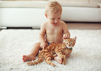 Ein Baby sitzt auf einem weißen Teppich und streichelt eine rotbraune Katze.