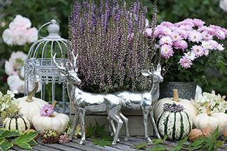 Figuren als Gartendeko: Um einen Lavendelstock herum, der auf einem Gartentisch steht, befinden sich zwei Rehe aus Metall, kleine Zierkürbisse und eine kleine verschnörkelte Laterne.