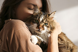 Tierbedarf für Ihre Katze: Eine junge Frau mit langem braunen Haar hält eine weiß-braun-gemusterte Katze in ihrem Arm.