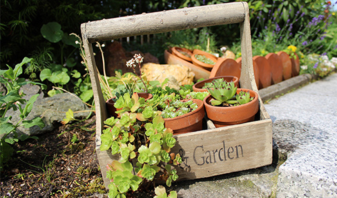 Bepflanzter Gartenkorb