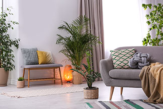 Dekoleuchte als Hingucker: Ein Wohnzimmer mit einer grauen Couch, verschiedenen Grünpflanzen und einer kleinen Sitzbank, neben der eine ovale Lampe am Boden steht, die orangenes Licht ausstrahlt.
