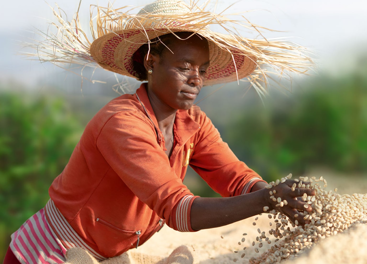 Farmerin hantiert mit beigen Kaffeebohnen