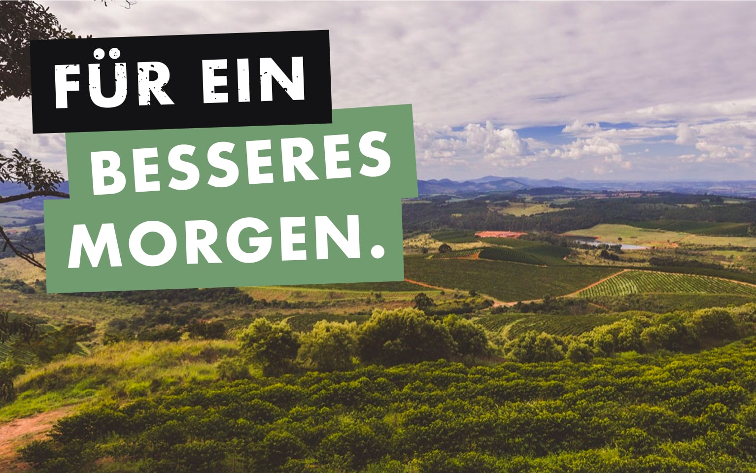 für ein besseres morgen