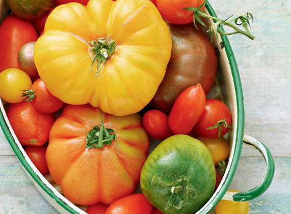 Tomaten mögen es warm