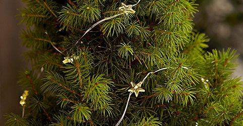 Christbaum schmücken