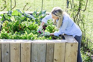 Moderner Sichtschutz: Ein hoher, grauer Sichtschutz umschließ einen Garten mit einem Beet in dem Zypressen wachsen und einer grünen Wiese.